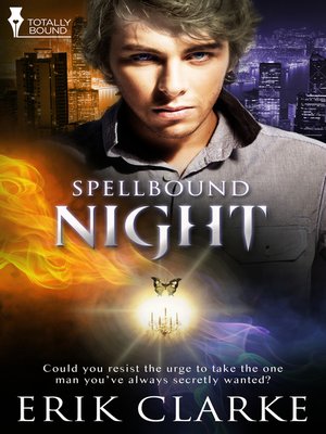 cover image of Night